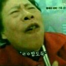 횡단보도호프 이미지