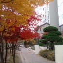 불당17길 이미지