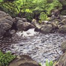 색연필 일러스트 이미지