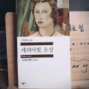 [이사벨 아옌데] 세피아빛 초상 이미지