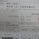 치악산한우타운 이미지