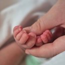 행복한리약국 | [일상 조각] 아아.. 얼마만이던가 블로그여 무려 2024년 11,12월 소식을 들고 왔다네