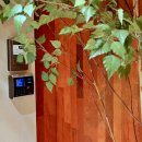 수협서초지점 이미지