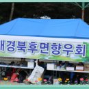 안동체육공원? 이미지