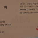 베이커리 어미새 이미지