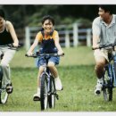 코덱스자전거 이미지