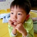 정세민 - 273 | 정세민