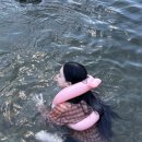 사랑의 선녀수녀회 평화의집 | 계곡 예술이다 예술.. 스트레스 많이 받을거야..대화가 된다 자기 전에 여름에 간 문경여행 생각 많이...