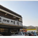 춘산메밀꽃 이미지