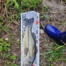 월산낚시터(월산저수지) 이미지