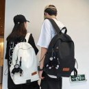 3496 이미지