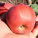 봉길농장 이미지