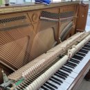 남춘천중학교 이미지