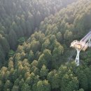 편백숲,쉼 이미지