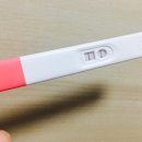 피자알볼로하대점 네이버블로그