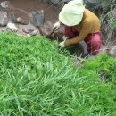 개골농장 이미지