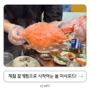 이 가격 실화..? 연안부두 꽃게&amp;쭈꾸미 시세+찐 후기 총정리