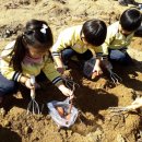 신북어린이집 이미지