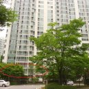 청명북로 이미지