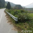 장성수퍼 이미지