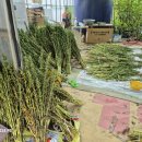 맷돌농장 이미지