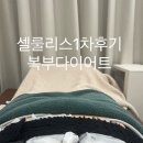 30대 복부다이어트 아래뱃살빼기 셀룰리스후기