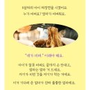 [취준] 24상 국민은행 1차면접, 2차면접 후기(최종탈락 후기)