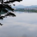 중앙탑공인중개사사무소 이미지