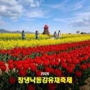 팔도국밥 | 창녕낙동강유채축제(남지유채꽃축제) 개화시기 초대가수 라인업 주차 및 맛집 가이드