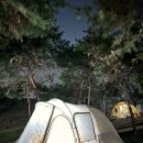 신일주유소 | [대여/히터] 고릴라캠핑장_신일히터300_2박 3일 대여후기_등유 주유 후기포함_내돈내산_찐후기🔥