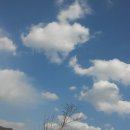 파란 하늘 목화 구름 이미지