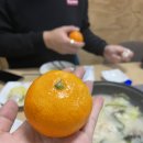 봉이손만두 이미지