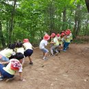 초부리유아숲체험원 이미지