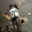 태백빌딩 앞 이미지