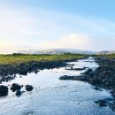 군포교회 이미지