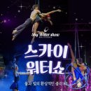 스카이워터쇼 네이버블로그