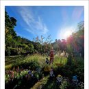 동화마을 이미지