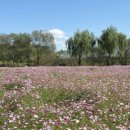 석교마을 주차장 이미지