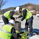 서구-01-54 이미지