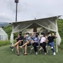 바위섬마트 | 강릉 감성카페 추천 사진정원