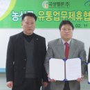 곡성청과