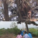 신혜농장 이미지