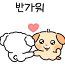 아이맥스안경 이미지