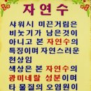 신원비엔빌