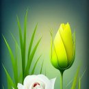 아침의 향기 이미지