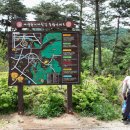 고창 방장산(솔재) Daum카페