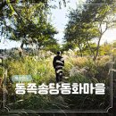 아이뷰뷰 | 제주 동쪽 송당 동화마을 핑크뮬리 명소 위치 다녀온 후기