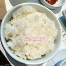 늘봄호프 | 아일랜드 리솜 맛집 더 테이블 저녁(THE TABLE 아기랑 저녁)