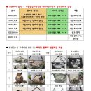 오로라퀼트 이미지