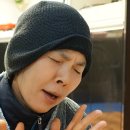 묵방산들국화 이미지